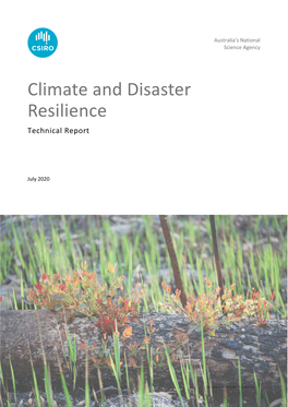 Climate and Disaster Resilience (Technical Report)