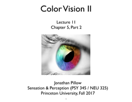 Color Vision II