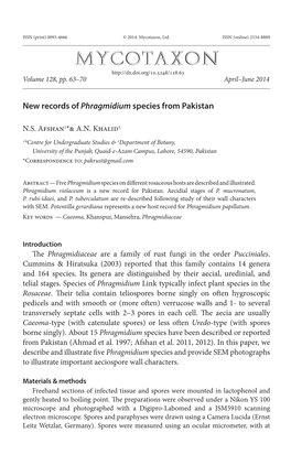 New Records of &lt;I&gt;Phragmidium&lt;/I&gt; Species from Pakistan