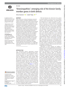 Emerging Role of the Kinesin Family Member Genes in Birth Defects Silvia Kalantari ‍ ‍ ,1 Isabel Filges ‍ ‍ 1,2