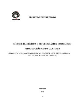 Marcelo Freire Moro Síntese Florística E Biogeográfica Do Domínio