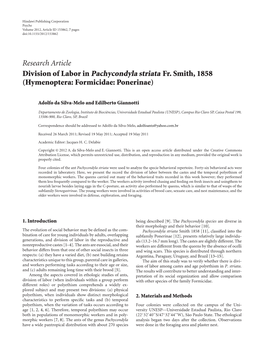 Division of Labor in Pachycondyla Striata Fr. Smith, 1858 (Hymenoptera: Formicidae: Ponerinae)