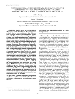 CHOREONEMA (CORALLINALES, RHODOPHYTA): 18S Rdna