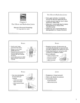 Chapter 6 the Elbow and Radioulnar Joints