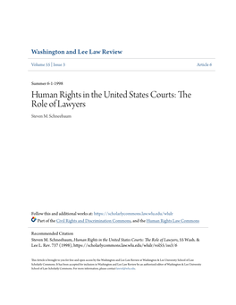 Human Rights in the United States Courts: the Role of Lawyers Steven M