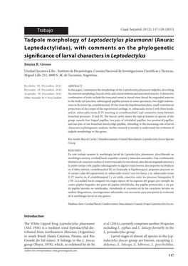 Tadpole Morphology of Leptodactylus Plaumanni (Anura: Leptodactylidae), with Comments on the Phylogenetic Significance of Larval Characters Inleptodactylus