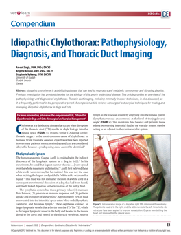 Idiopathic Chylothorax: Pathophysiology, Diagnosis, and Thoracic Duct Imaging