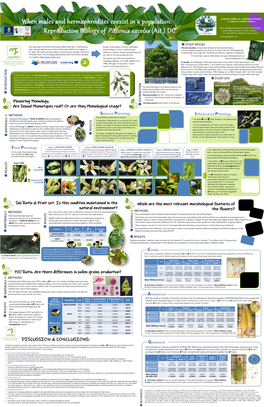 Floral Phenology