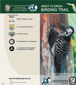 Great Florida Birding Trail Website