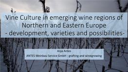 Vine Culture in Emerging Wine Regions of Northern and Eastern Europe - Development, Varieties and Possibilities