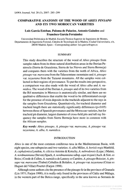 Comparative Anatomy of the Wood of Ab/Es P/Nsapo and Its Two Moroccan Varieties