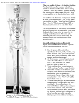 Skel to ID Articulated Skeleton