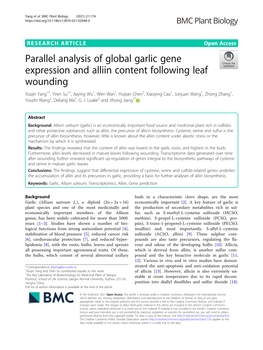 Parallel Analysis of Global Garlic Gene Expression and Alliin Content