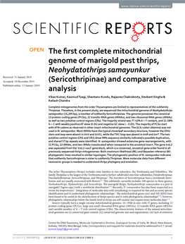 The First Complete Mitochondrial Genome of Marigold Pest Thrips, Neohydatothrips Samayunkur (Sericothripinae) and Comparative An