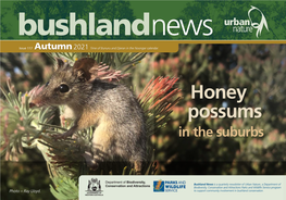 Honey Possums in the Suburbs