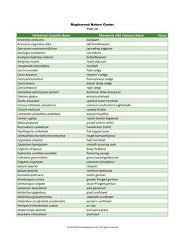 Herbarium Scientific Name Minnesota DNR Common Name Status