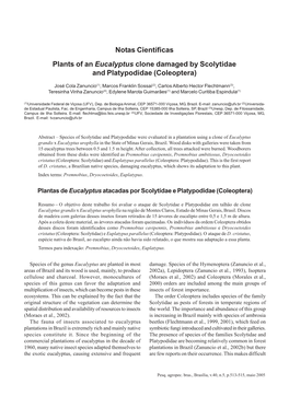 Notas Científicas Plants of an Eucalyptus Clone Damaged by Scolytidae and Platypodidae (Coleoptera)