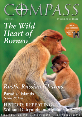 The Wild Heart of Borneo