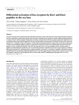 Differential Activation of Kiss Receptors by Kiss1 and Kiss2 Peptides in the Sea Bass