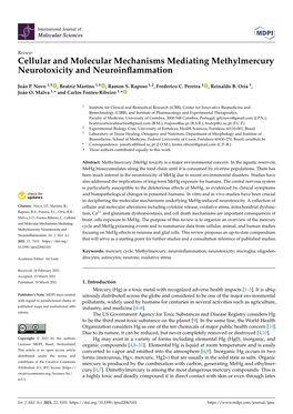 Cellular and Molecular Mechanisms Mediating Methylmercury Neurotoxicity and Neuroinﬂammation