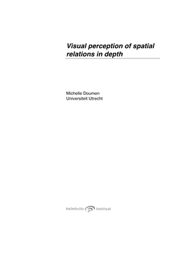 Visual Perception of Spatial Relations in Depth