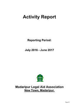 Activity Report