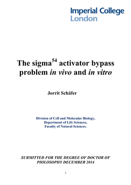 The Sigma Activator Bypass Problem in Vivo and in Vitro