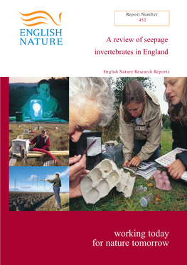 A Review of Seepage Invertebrates in England
