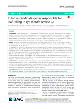 Putative Candidate Genes Responsible for Leaf Rolling In