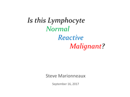 Is This Lymphocyte Normal Reactive Malignant?