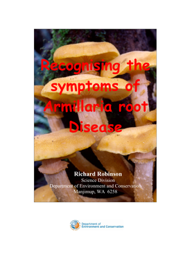 Recognising the Symptoms of Armillaria Root Disease