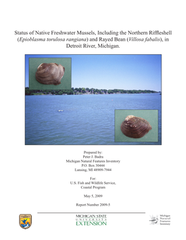 Status of Native Freshwater Mussels, Including the Northern Riffleshell (Epioblasma Torulosa Rangiana) and Rayed Bean (Villosa Fabalis), in Detroit River, Michigan