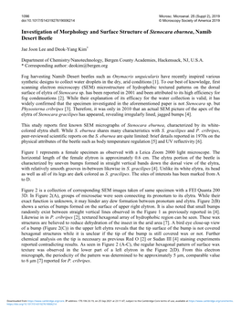 Investigation of Morphology and Surface Structure of Stenocara Eburnea, Namib Desert Beetle