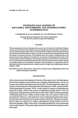 Baccaurea, Distichirhops, and Nothobaccaurea