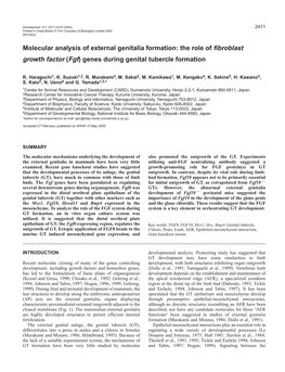 Molecular Analysis of Genital Tubercle Formation 2473