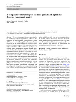 A Comparative Morphology of the Male Genitalia of Aphididae (Insecta, Hemiptera): Part 2