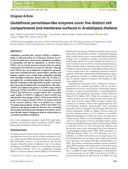 Glutathione Peroxidase‐Like Enzymes Cover Five Distinct Cell Compartments