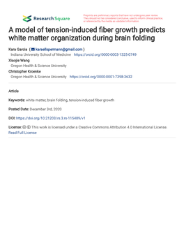 A Model of Tension-Induced Fiber Growth Predicts White Matter Organization During Brain Folding