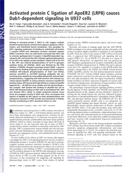 Activated Protein C Ligation of Apoer2 (LRP8) Causes Dab1-Dependent Signaling in U937 Cells