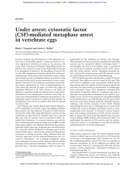 Mediated Metaphase Arrest in Vertebrate Eggs