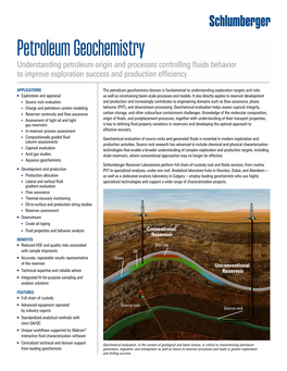 Petroleum Geochemistry Understanding Petroleum Origin and Processes Controlling Fluids Behavior to Improve Exploration Success and Production Efficiency