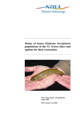 Status of Koaro (Galaxias Brevipinnis) Populations in the Te Arawa Lakes and Options for Their Restoration