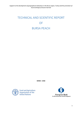 Technical and Scientific Report of Bursa Peach