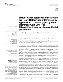 Ectopic Overexpression of Pparγ2 in the Heart Determines Differences in Hypertrophic Cardiomyopathy After Treatment with Differ