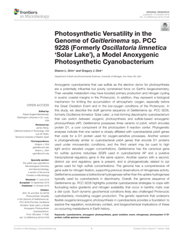 Photosynthetic Versatility in the Genome of Geitlerinema Sp