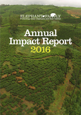 Annual Report 2016