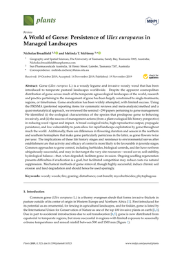 Persistence of Ulex Europaeus in Managed Landscapes