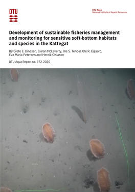 Development of Sustainable Fisheries Management and Monitoring for Sensitive Soft-Bottom Habitats and Species in the Kattegat