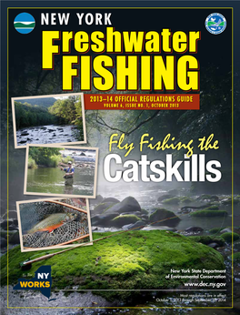 Fly Fishing the Catskills