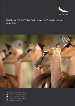 Itinerary for Victoria Falls & Wildlife Safari